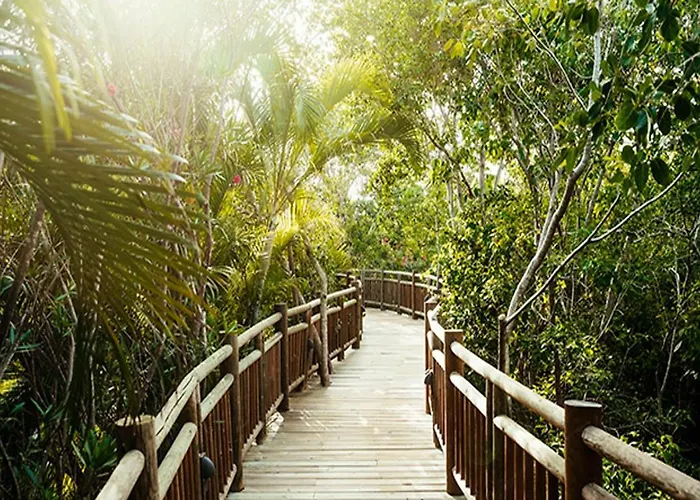 Vidanta Riviera Maya Apartment *